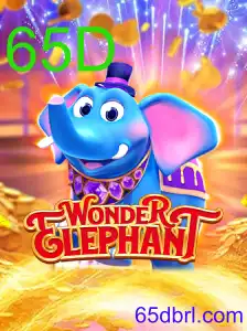WonderElephant